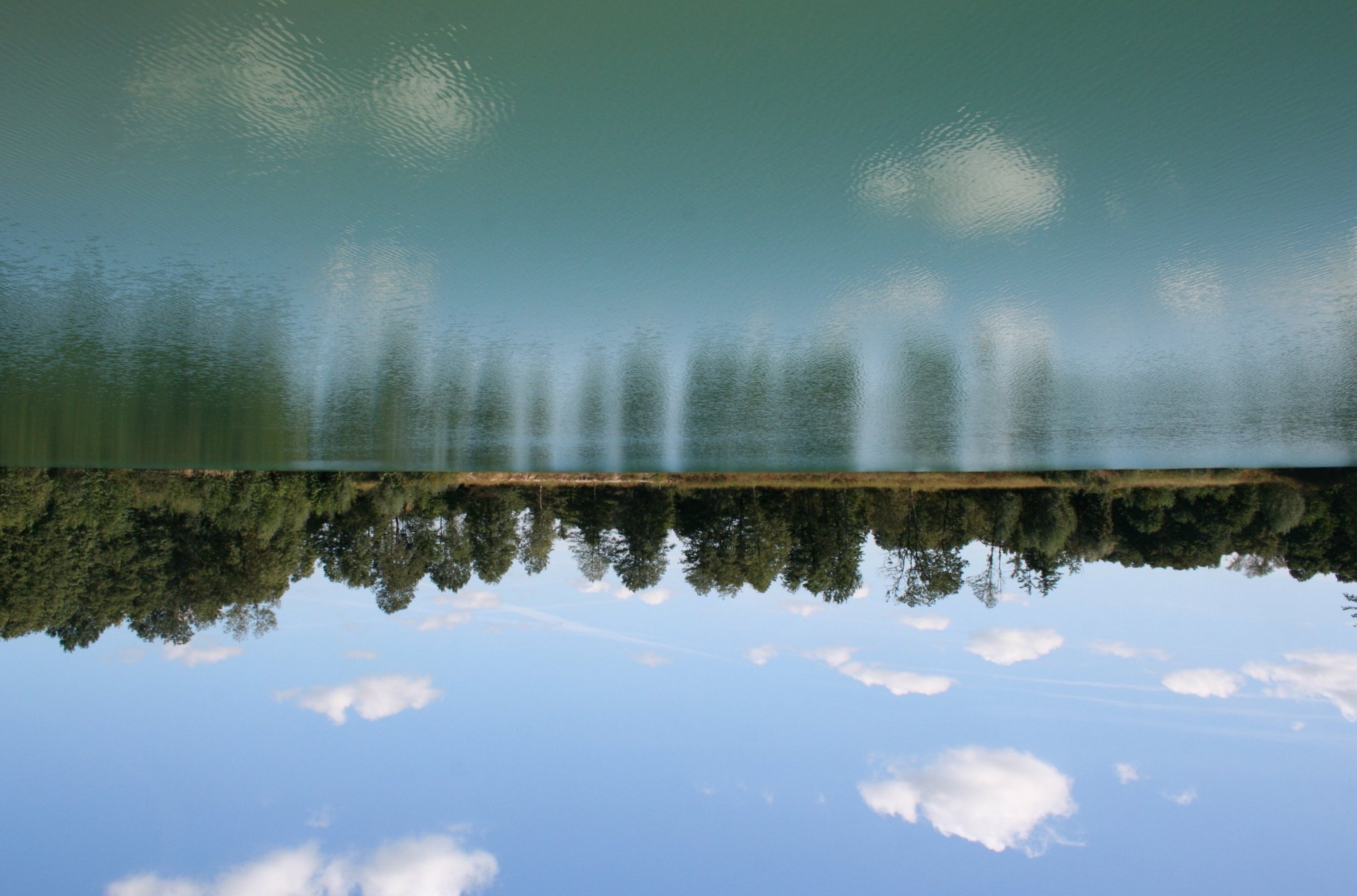 perceptives ecosystem services forest water
